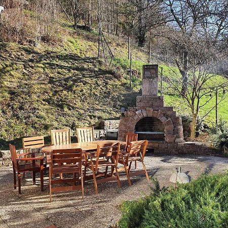 Grosses Ferienhaus Sauerburgblick 사우에르탈 외부 사진