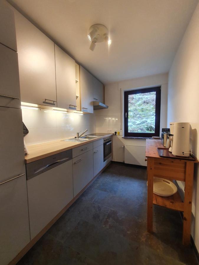 Grosses Ferienhaus Sauerburgblick 사우에르탈 외부 사진