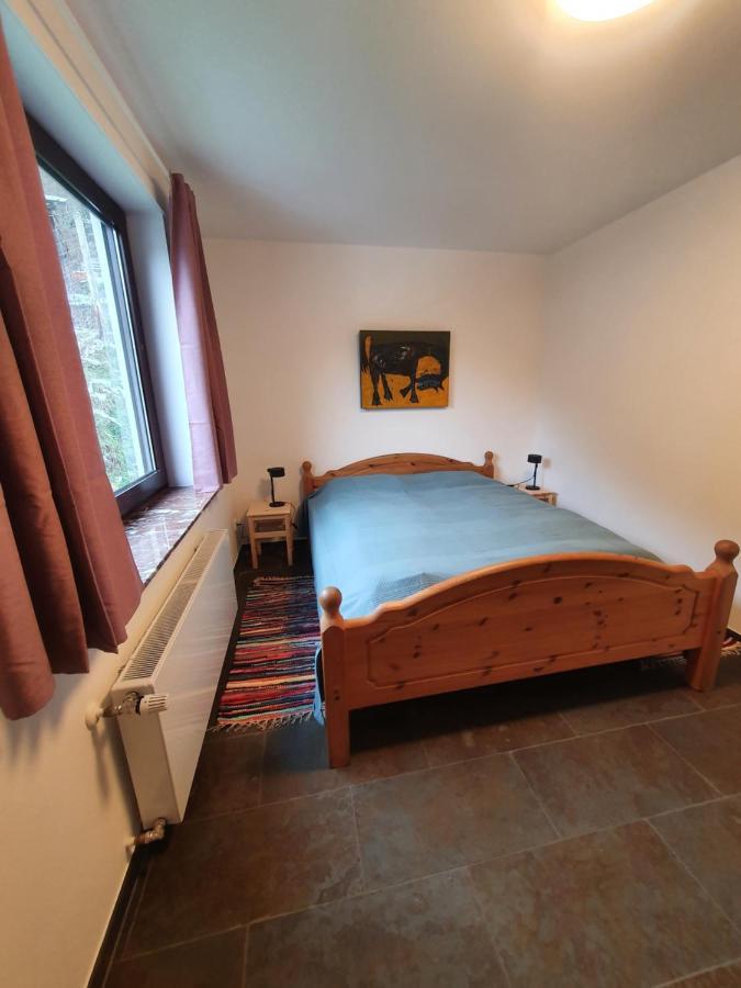 Grosses Ferienhaus Sauerburgblick 사우에르탈 외부 사진